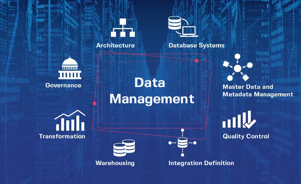 Data Management.webp