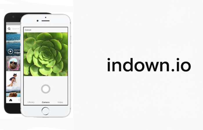 Download videos by using the indown.io download