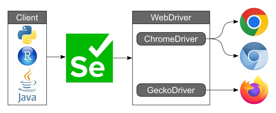 Introduction to Selenium ChromeDriver